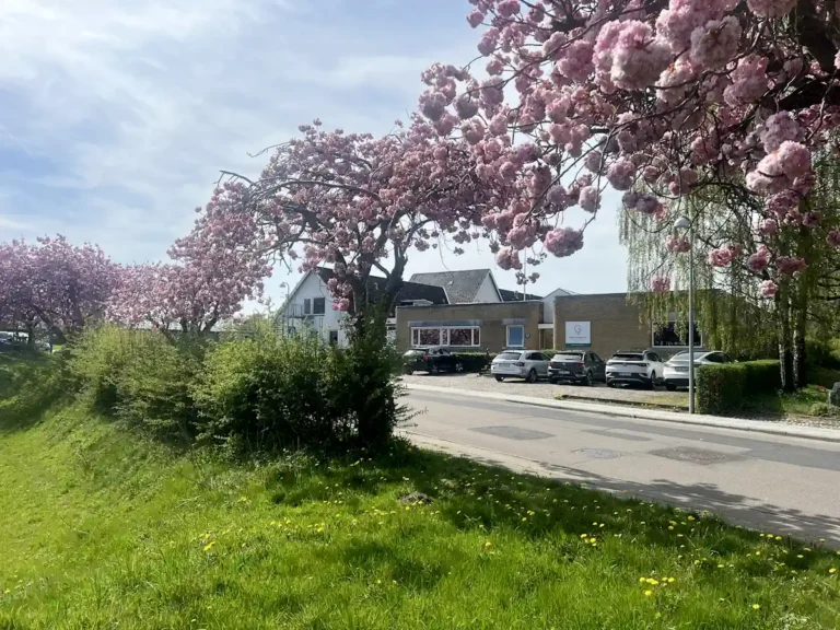 Skolebygningen, Grænseegnens Friskole