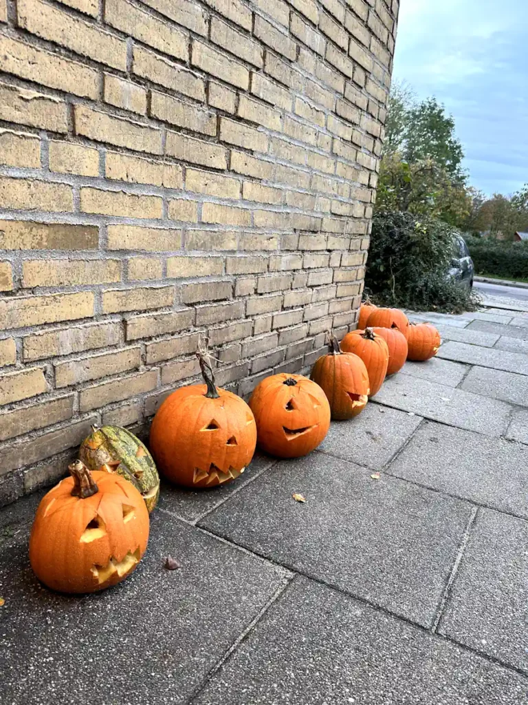 Halloween med græskar på Grænseegnens Friskole