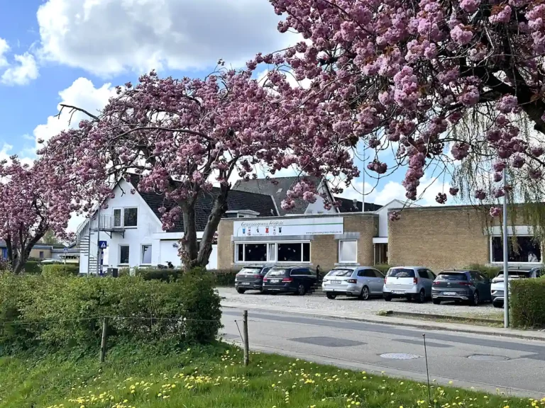 Skolebygningen, Grænseegnens Friskole